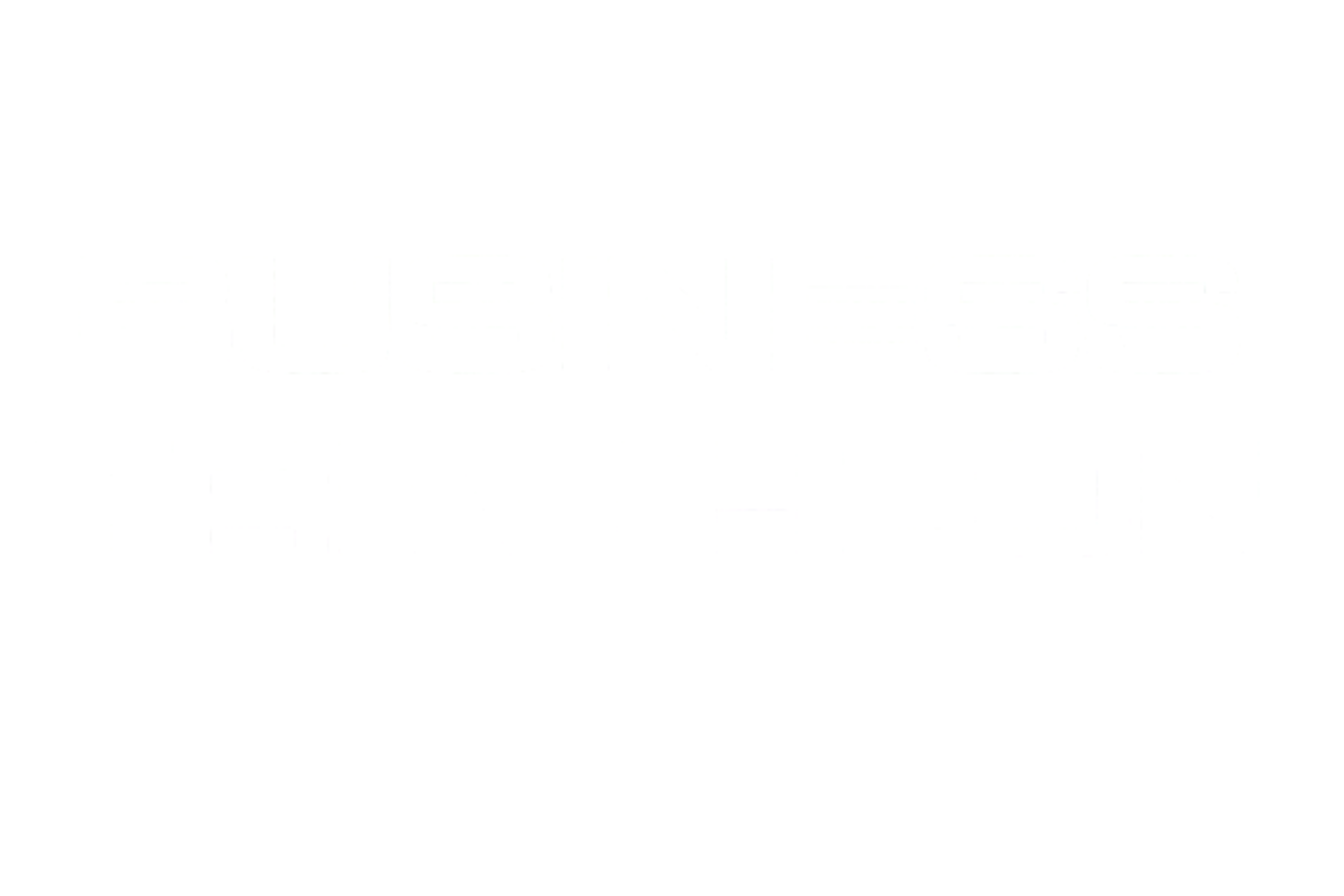 Business Triathlon